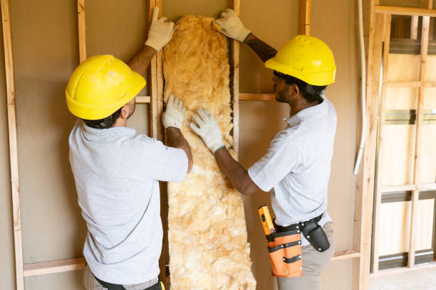 Best Soundproof Insulation  in Unionville, TN